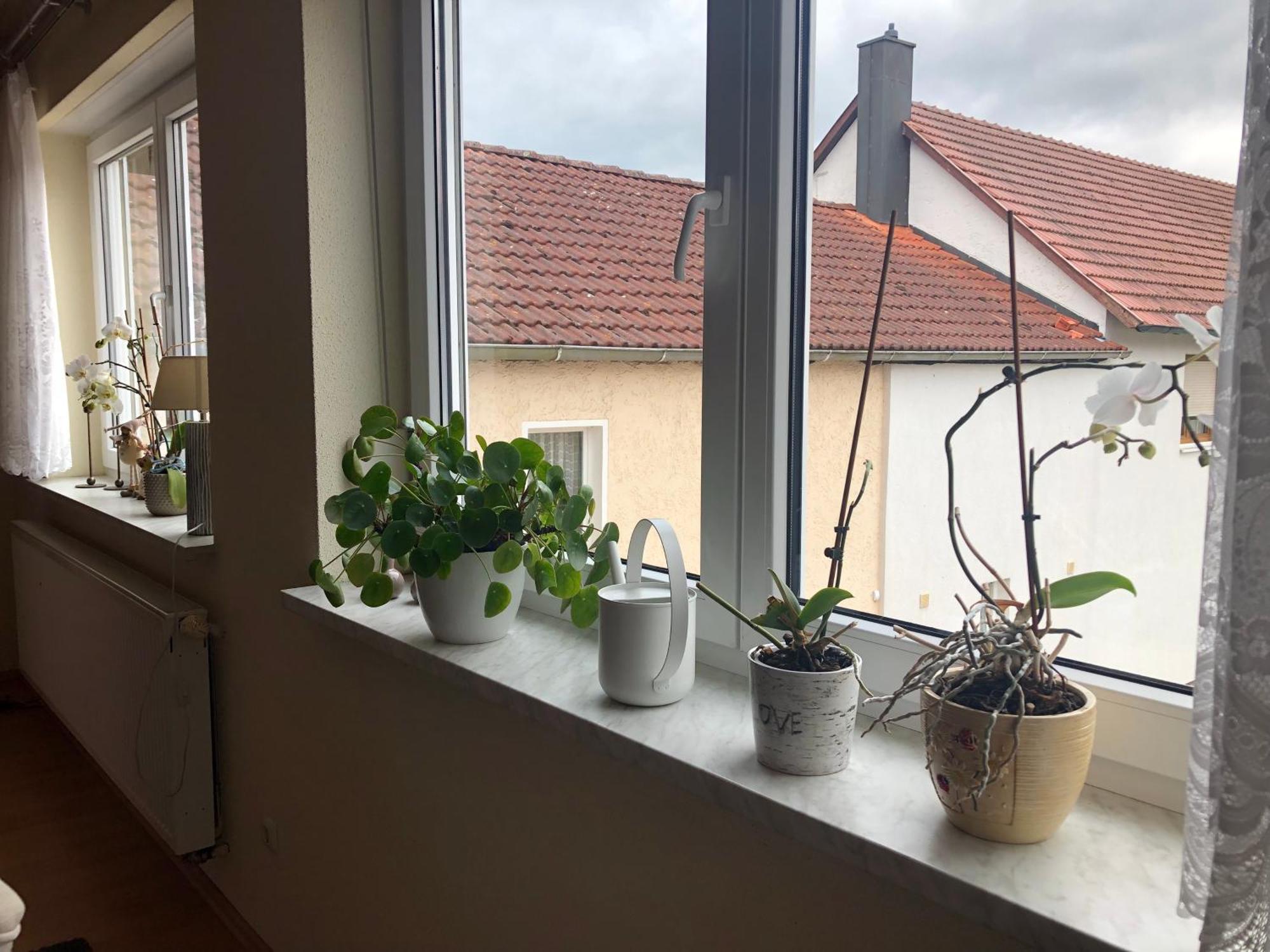 Ferienwohnung Am Gruenen Band Hellingen Esterno foto