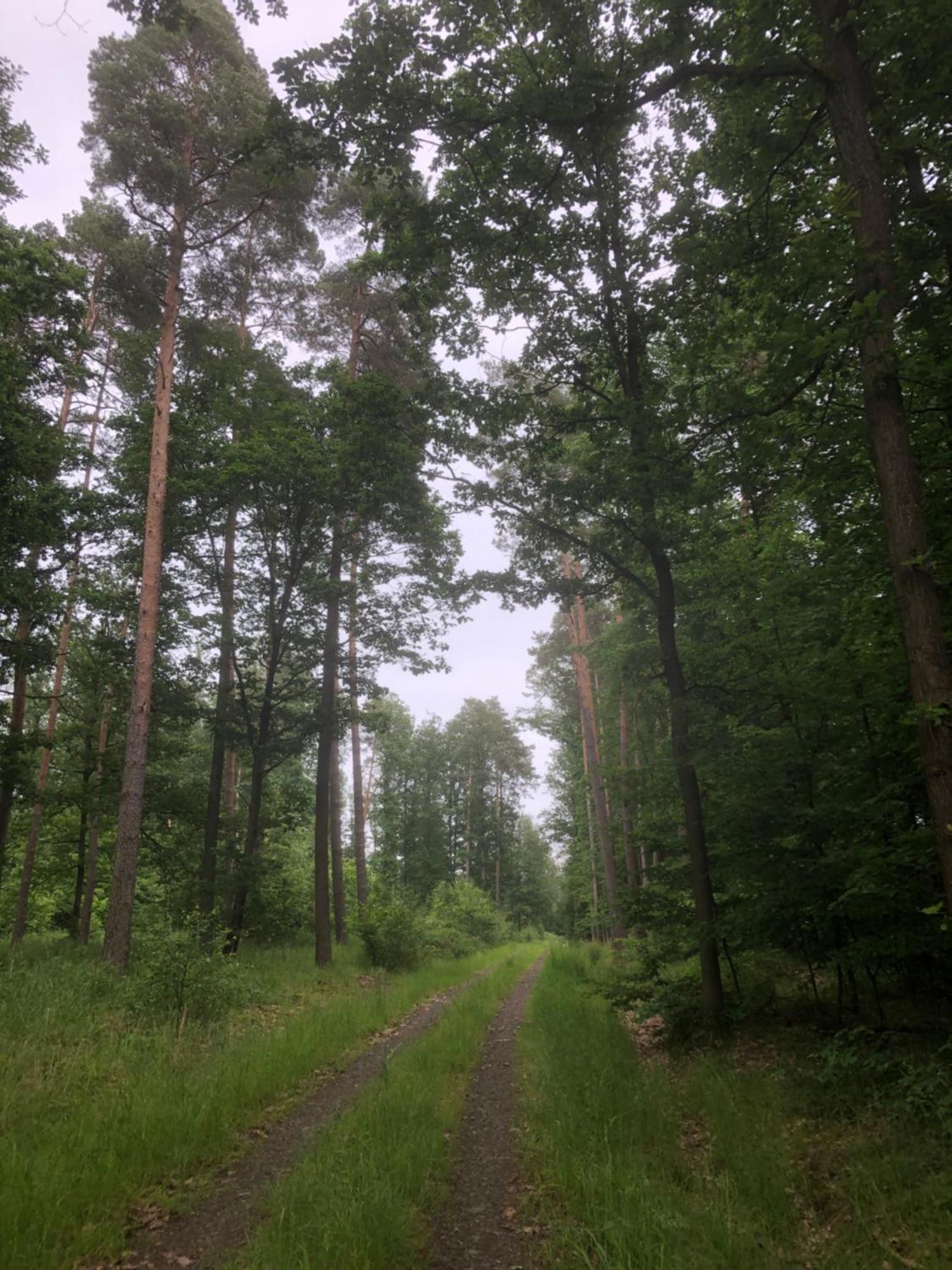 Ferienwohnung Am Gruenen Band Hellingen Esterno foto
